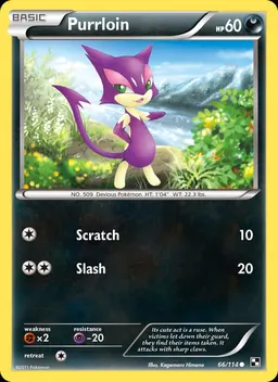 Purrloin #66