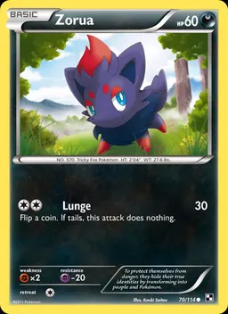 Zorua #70