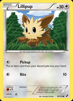 Lillipup #80
