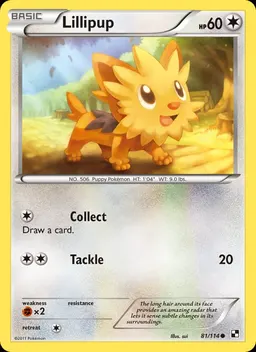 Lillipup #81