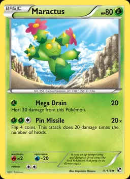 Maractus #11