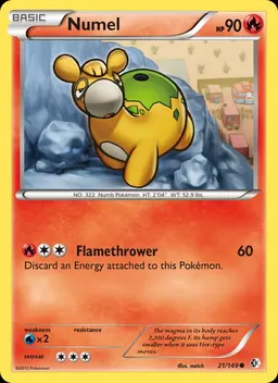 Numel #21