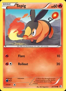 Tepig #24