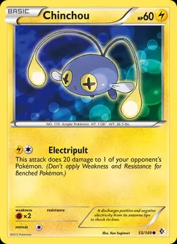 Chinchou #55