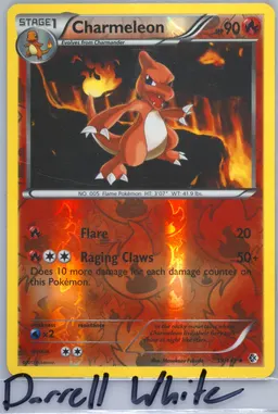 Charmeleon #19