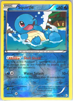 Squirtle card photo
