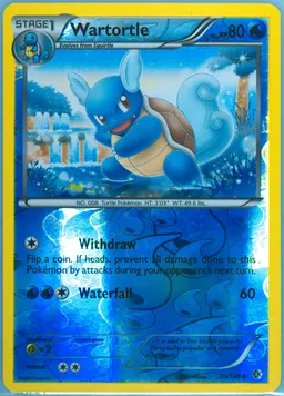 Wartortle #30