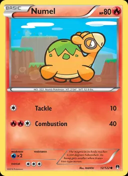 Numel #12