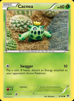 Cacnea #4
