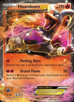 Houndoom EX #21