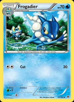 Frogadier #47