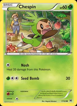 Chespin #7