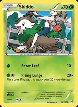 Skiddo #16