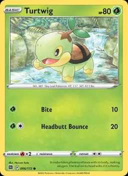 Turtwig #6