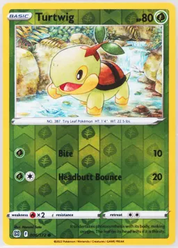 Turtwig #6