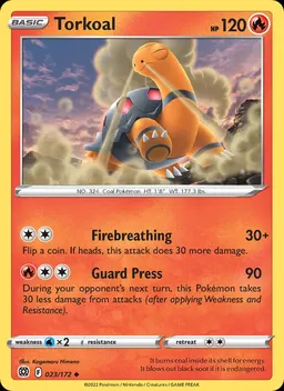 Torkoal #23