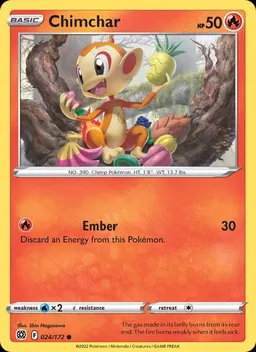 Chimchar #24