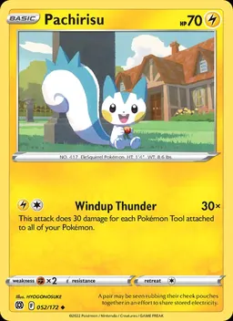 Pachirisu #52