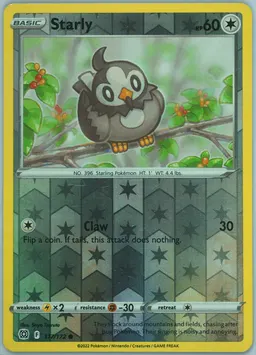 Starly #117