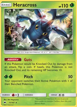 Heracross #11