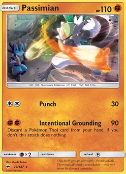 Passimian #79