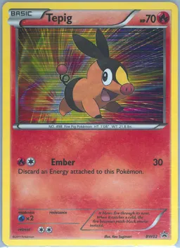 Tepig #BW02