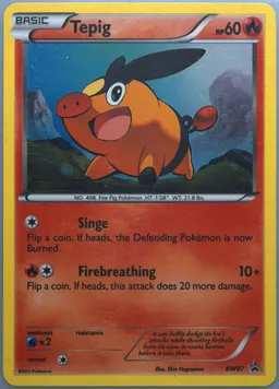 Tepig #BW07