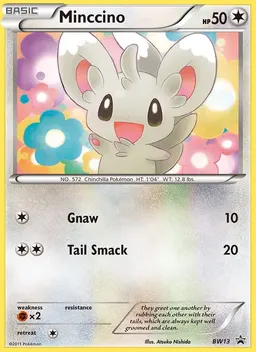 Minccino #BW13