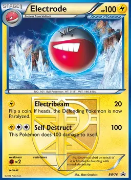 Electrode #BW76
