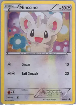 Minccino #BW13