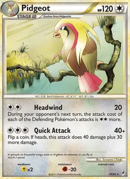 Pidgeot card photo
