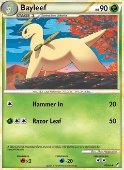 Bayleef #40