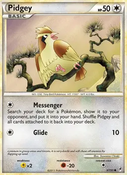 Pidgey card photo