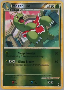 Meganium #27