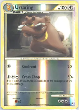 Ursaring #37