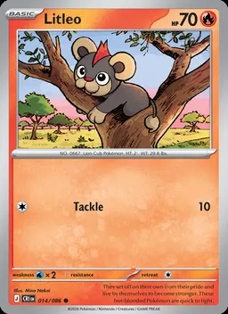 Litleo #14