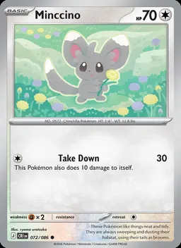 Minccino #72
