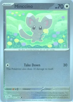 Minccino #72