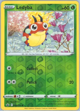 Ledyba #4