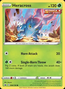 Heracross #6