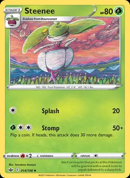Steenee #14