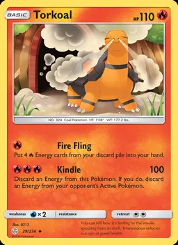 Torkoal #29