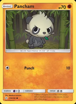 Pancham #119