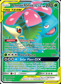 Venusaur & Snivy GX #210