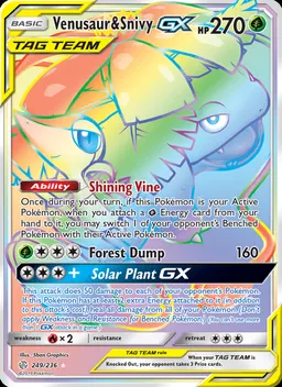 Venusaur & Snivy GX #249