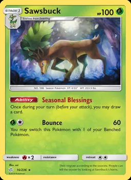 Sawsbuck #16