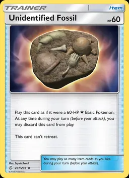 Unidentified Fossil #207