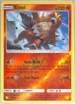 Entei #28