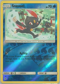 Sneasel #43