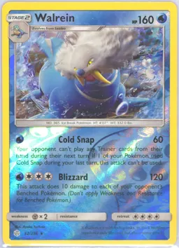 Walrein #52